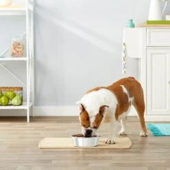 Frisco Stainless Steel Dog & Cat Bowl -WoofyPlay Store 159867 PT3. AC SS1800 V1570543097