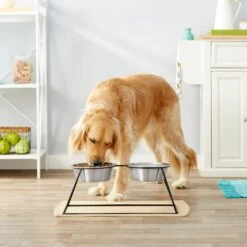Frisco Pyramid Elevated Stainless Steel Double Diner Dog & Cat Bowl 7 Frisco Pyramid Elevated Stainless Steel Double Diner Dog & Cat Bowl -WoofyPlay Store 159884 PT3. AC SS1800 V1561123346