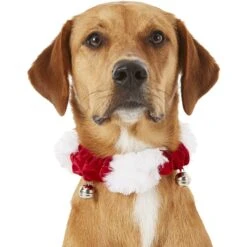 Frisco Jingle Bells Dog & Cat Holiday Collar With Bells, 1 Count -WoofyPlay Store 160063 PT2. AC SS1800 V1669101088