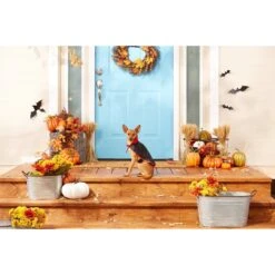 Frisco Vampire Cape Dog & Cat Costume -WoofyPlay Store 160793 PT3. AC SS1800 V1567176564