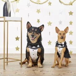 Frisco Formal Dog & Cat Tuxedo, Black -WoofyPlay Store 160819 PT3. AC SS1800 V1567176451
