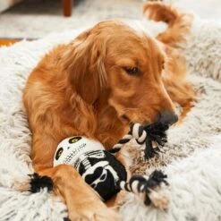 Frisco Halloween Skeleton Plush With Rope Squeaky Dog Toy -WoofyPlay Store 161358 PT6. AC SS1800 V1597599370