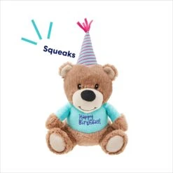 Frisco Birthday Bear Plush Squeaky Dog Toy -WoofyPlay Store 162836 PT2. AC SS1800 V1695659146