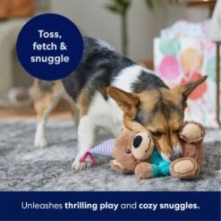 Frisco Birthday Bear Plush Squeaky Dog Toy -WoofyPlay Store 162836 PT4. AC SS1800 V1695670999