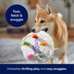 Frisco Birthday Cake Plush Squeaky Dog Toy 10 Frisco Birthday Cake Plush Squeaky Dog Toy -WoofyPlay Store 162839 PT4. AC SS1800 V1695671061