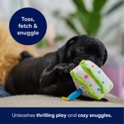 Frisco Birthday Cake Slice Plush Squeaky Dog Toy 10 Frisco Birthday Cake Slice Plush Squeaky Dog Toy -WoofyPlay Store 162906 PT4. AC SS1800 V1695671059