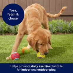Frisco Birthday Fetch Squeaky Tennis Ball Dog Toy -WoofyPlay Store 162914 PT3. AC SS1800 V1692019914