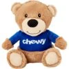 Frisco Chewy Bear Plush Squeaky Dog Toy