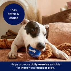 Frisco Chewy Fetch Squeaky Tennis Ball Dog Toy 10 Frisco Chewy Fetch Squeaky Tennis Ball Dog Toy -WoofyPlay Store 164314 PT5. AC SS1800 V1691783910