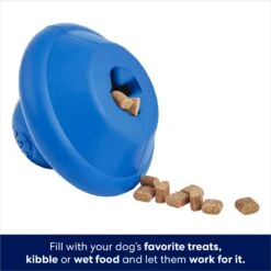 Frisco Flying Saucer Rubber Treat Dispenser Dog Toy -WoofyPlay Store 164757 PT3. AC SS1800 V1686579570