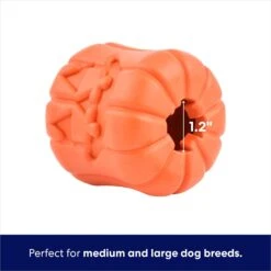 Frisco Halloween Pumpkin Rubber Treat Dispenser Dog Toy, Medium/Large -WoofyPlay Store 164763 PT2. AC SS1800 V1689878018