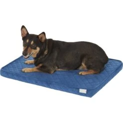 Frisco Quilted Orthopedic Pillow Cat & Dog Bed W/Removable Cover 8 Frisco Quilted Orthopedic Pillow Cat & Dog Bed W/Removable Cover -WoofyPlay Store 165196 PT2. AC SS1800 V1568726226