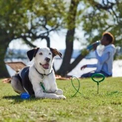 Frisco Easy Grip Stake With Tie Out Cable, Large -WoofyPlay Store 166447 PT5. AC SS1800 V1701796826