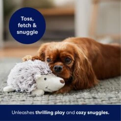 Frisco Hedgehog Plush Squeaky Dog Toy -WoofyPlay Store 174678 PT4. AC SS1800 V1695670748