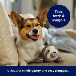 Frisco Sloth Plush Squeaky Dog Toy -WoofyPlay Store 174681 PT4. AC SS1800 V1695671029