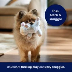 Frisco Lamb Plush Squeaky Dog Toy -WoofyPlay Store 174686 PT4. AC SS1800 V1695659156