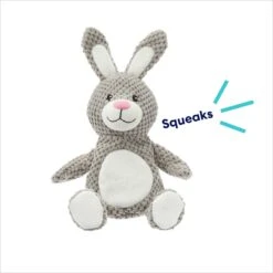 Frisco Bunny Textured Plush Squeaky Dog Toy 8 Frisco Bunny Textured Plush Squeaky Dog Toy -WoofyPlay Store 174693 PT2. AC SS1800 V1695670750