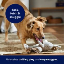 Frisco Bunny Textured Plush Squeaky Dog Toy 10 Frisco Bunny Textured Plush Squeaky Dog Toy -WoofyPlay Store 174693 PT4. AC SS1800 V1695671088