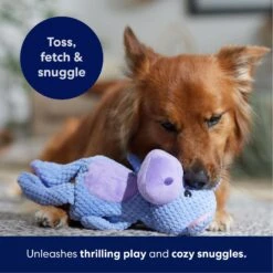 Frisco Hippo Textured Plush Squeaky Dog Toy -WoofyPlay Store 174697 PT4. AC SS1800 V1695671089