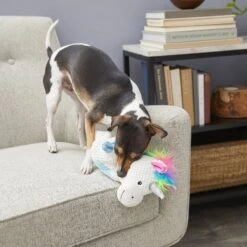 Frisco Unicorn Textured Plush Squeaky Dog Toy -WoofyPlay Store 174699 PT2. AC SS1800 V1573492386