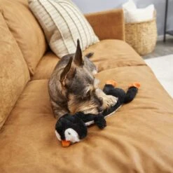 Frisco Penguin Skinny Plush Squeaky Dog Toy -WoofyPlay Store 174707 PT2. AC SS1800 V1573492672