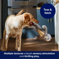 Frisco Sloth Muscle Plush Squeaky Dog Toy -WoofyPlay Store 174715 PT4. AC SS1800 V1695670689