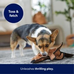 Frisco Beaver Stuffing-Free Flat Plush Squeaky Dog Toy -WoofyPlay Store 174729 PT4. AC SS1800 V1695671063