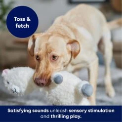 Frisco Llama Bobberz Plush Squeaky Dog Toy 10 Frisco Llama Bobberz Plush Squeaky Dog Toy -WoofyPlay Store 174741 PT4. AC SS1800 V1695671063