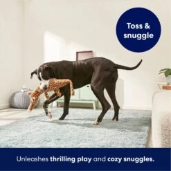 Frisco Giraffe Wagazoo Plush Squeaky Dog Toy -WoofyPlay Store 174745 PT4. AC SS1800 V1695748354