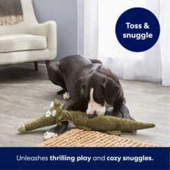 Frisco Triceratops Wagazoo Plush Squeaky Dog Toy -WoofyPlay Store 174747 PT4. AC SS1800 V1695748419