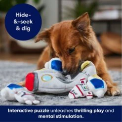 Frisco Rocket Ship Hide & Seek Puzzle Plush Squeaky Dog Toy -WoofyPlay Store 174753 PT4. AC SS1800 V1695670750