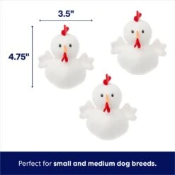 Frisco Chicken Coop Hide & Seek Puzzle Plush Squeaky Dog Toy -WoofyPlay Store 174755 PT2. AC SS1800 V1691783968