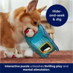 Frisco Chicken Coop Hide & Seek Puzzle Plush Squeaky Dog Toy -WoofyPlay Store 174755 PT5. AC SS1800 V1691783971