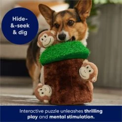 Frisco Monkeys In Tree Hide & Seek Puzzle Plush Squeaky Dog Toy -WoofyPlay Store 174759 PT5. AC SS1800 V1702598595