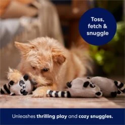 Frisco Trash Can & Raccoons Hide & Seek Puzzle Plush Squeaky Dog Toy Refills -WoofyPlay Store 174766 PT5. AC SS1800 V1691783909