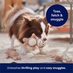 Frisco Monkeys In Tree Hide & Seek Puzzle Plush Squeaky Dog Toy Refills -WoofyPlay Store 174768 PT5. AC SS1800 V1691784249