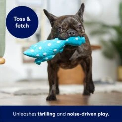 Frisco Dinosaur Latex Squeaky Dog Toy -WoofyPlay Store 174770 PT3. AC SS1800 V1686579138