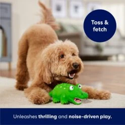 Frisco Alligator Latex Squeaky Dog Toy -WoofyPlay Store 174772 PT3. AC SS1800 V1686579212