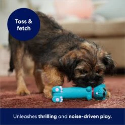 Frisco Latex Squeaky Puppy Toy -WoofyPlay Store 174775 PT5. AC SS1800 V1691784247