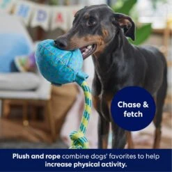 Frisco Birthday Balloon Plush With Rope Squeaky Dog Toy -WoofyPlay Store 177807 PT3. AC SS1800 V1695241973