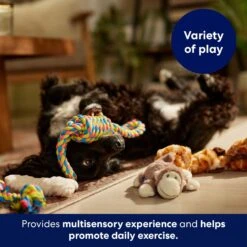 Frisco Jungle Pals Plush & Rope Variety Pack Dog Toy -WoofyPlay Store 177819 PT5. AC SS1800 V1691784249