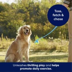 Frisco Ball Launcher & Fetch Squeaky Tennis Ball Dog Toy 8 Frisco Ball Launcher & Fetch Squeaky Tennis Ball Dog Toy -WoofyPlay Store 178477 PT3. AC SS1800 V1695241970
