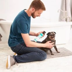 Frisco Aloe Hydrating Dog & Cat Spray, Sweet Nectar Scent 6 Frisco Aloe Hydrating Dog & Cat Spray, Sweet Nectar Scent -WoofyPlay Store 192084 PT3. AC SS1800 V1585321073