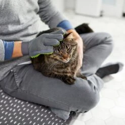 Frisco Dog & Cat Grooming Glove, Right Hand -WoofyPlay Store 206845 PT6. AC SS1800 V1610762805