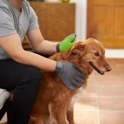 Frisco Dog & Cat Adjustable Grooming Gloves -WoofyPlay Store 206847 PT5. AC SS1800 V1610763673