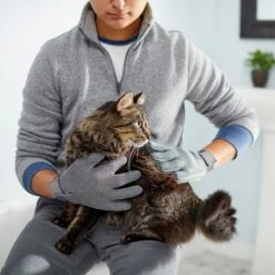 Frisco Dog & Cat Adjustable Grooming Gloves -WoofyPlay Store 206847 PT6. AC SS1800 V1610768190