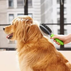 Frisco Cat & Dog Pin Bristle Brush -WoofyPlay Store 206855 PT6. AC SS1800 V1680186157