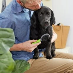 Frisco Cat & Dog Combo Brush, Mini 7 Frisco Cat & Dog Combo Brush, Mini -WoofyPlay Store 206857 PT4. AC SS1800 V1680186386