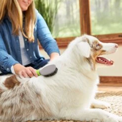 Frisco Cat & Dog Bristle Brush -WoofyPlay Store 206859 PT5. AC SS1800 V1680186099