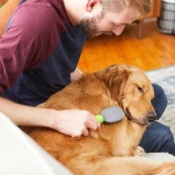 Frisco Cat & Dog Pin Brush 9 Frisco Cat & Dog Pin Brush -WoofyPlay Store 206861 PT6. AC SS1800 V1680186099